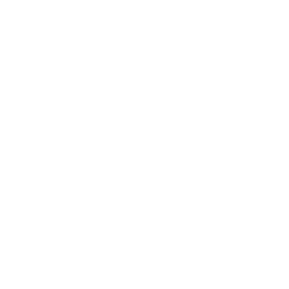 Perplexity
