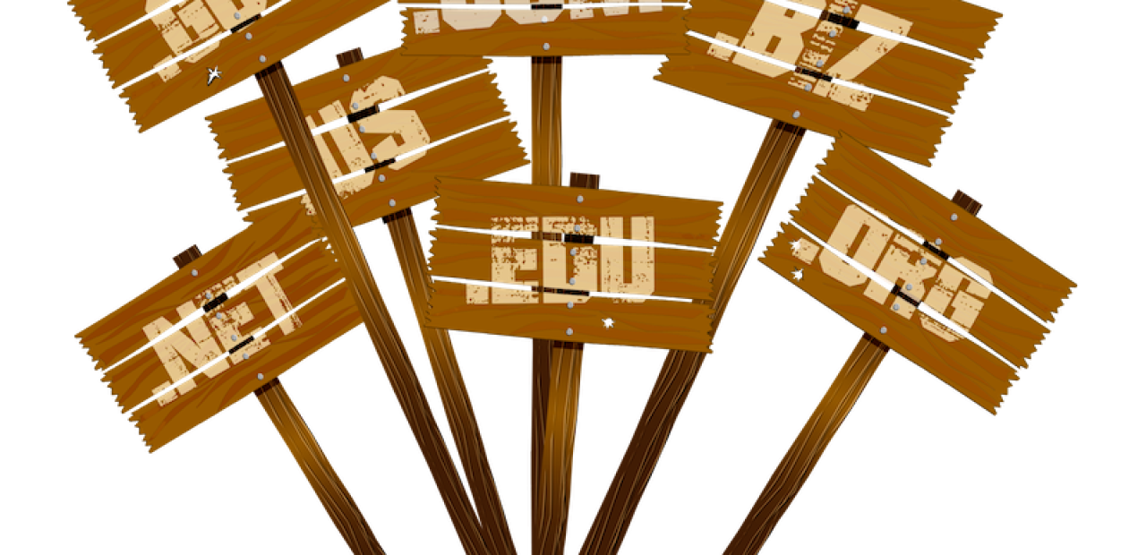 choose new domain names